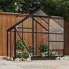 vidaXL 3082333 Växthus 155x103x191 cm (Aluminium/Antracit)