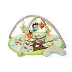 Skip Hop Treetop Friends Babygym