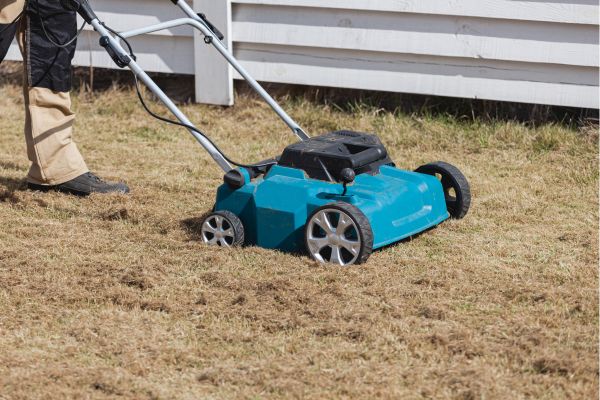 vertikalskärare bäst i test